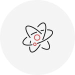 Demonstrate the dynamics of neuronal ensembles